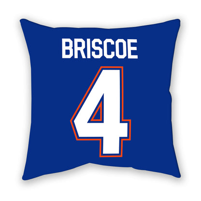 Florida - NCAA Women's Volleyball : Brooklyn Briscoe - Pillow-1