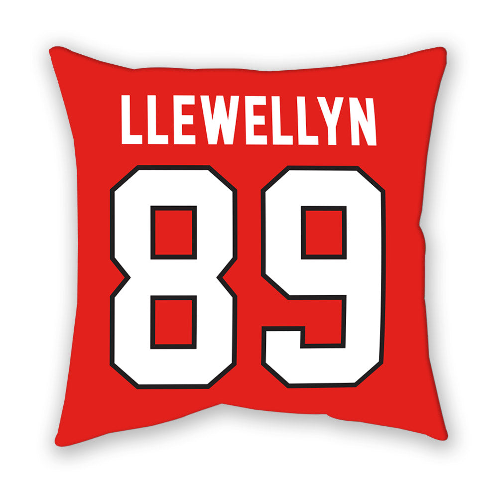 Texas Tech - NCAA Football : Jason Llewellyn - Pillow-1