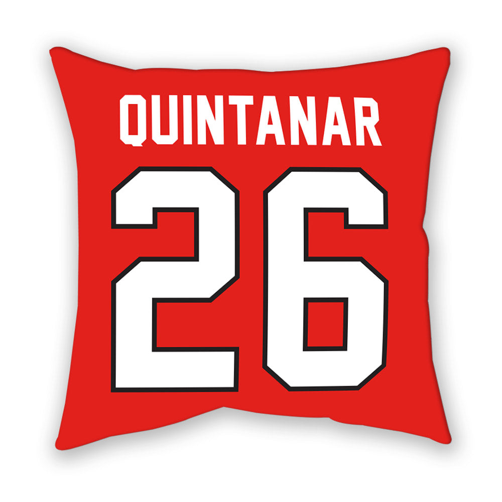 Texas Tech - NCAA Baseball : Matt Quintanar - Pillow-1