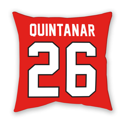 Texas Tech - NCAA Baseball : Matt Quintanar - Pillow-1