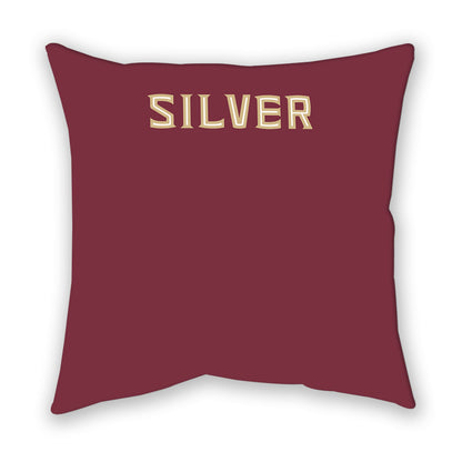 FSU - NCAA Men's Swimming & Diving : Ethan Silver - Pillow-1