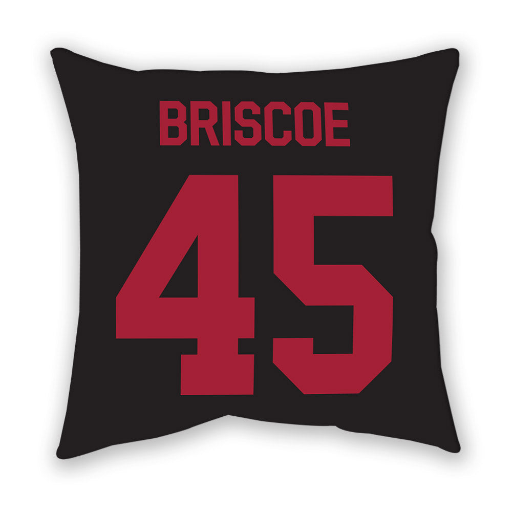 Arkansas - NCAA Baseball : Tye Briscoe - Pillow-1