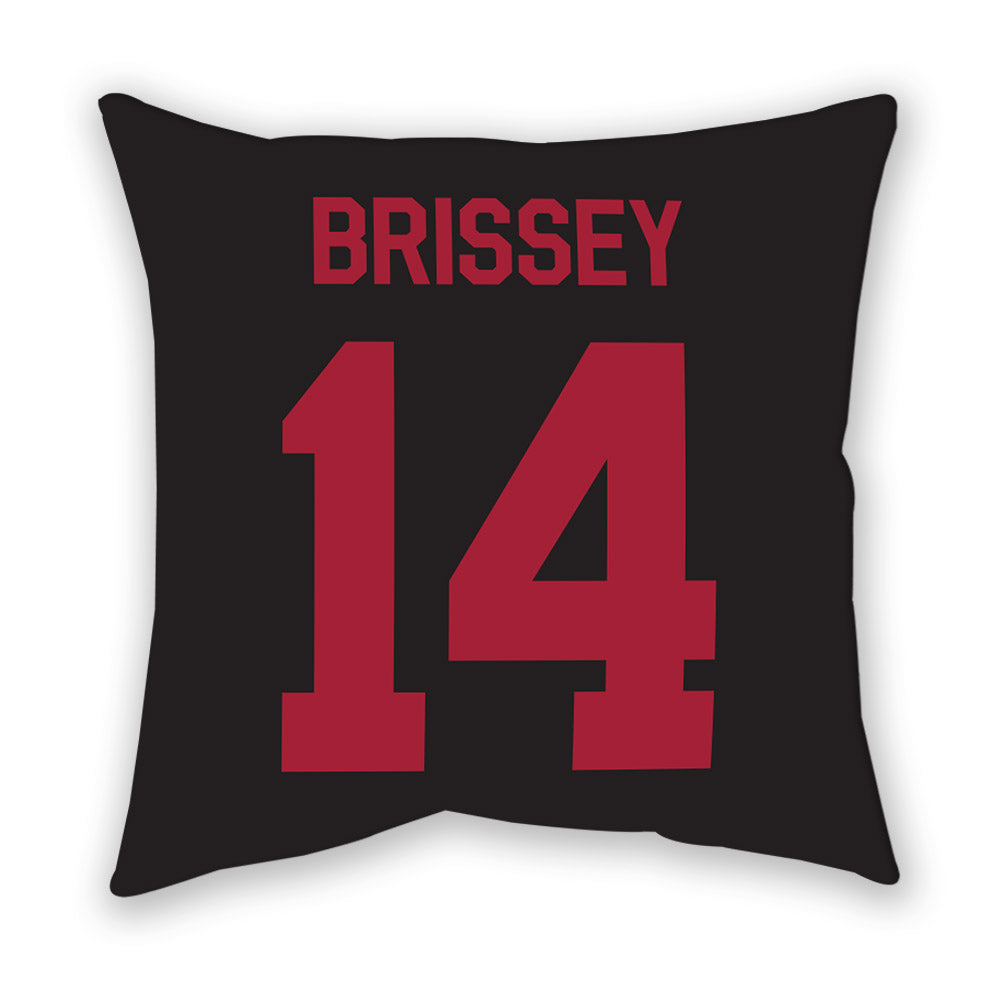 Arkansas - NCAA Baseball : Mark Brissey - Pillow-1