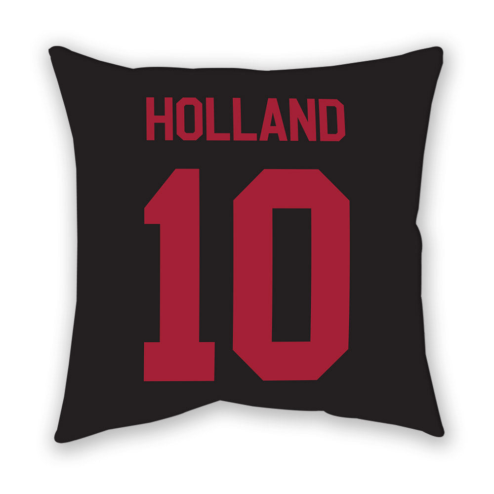 Arkansas - NCAA Baseball : Tyler Holland - Pillow-1