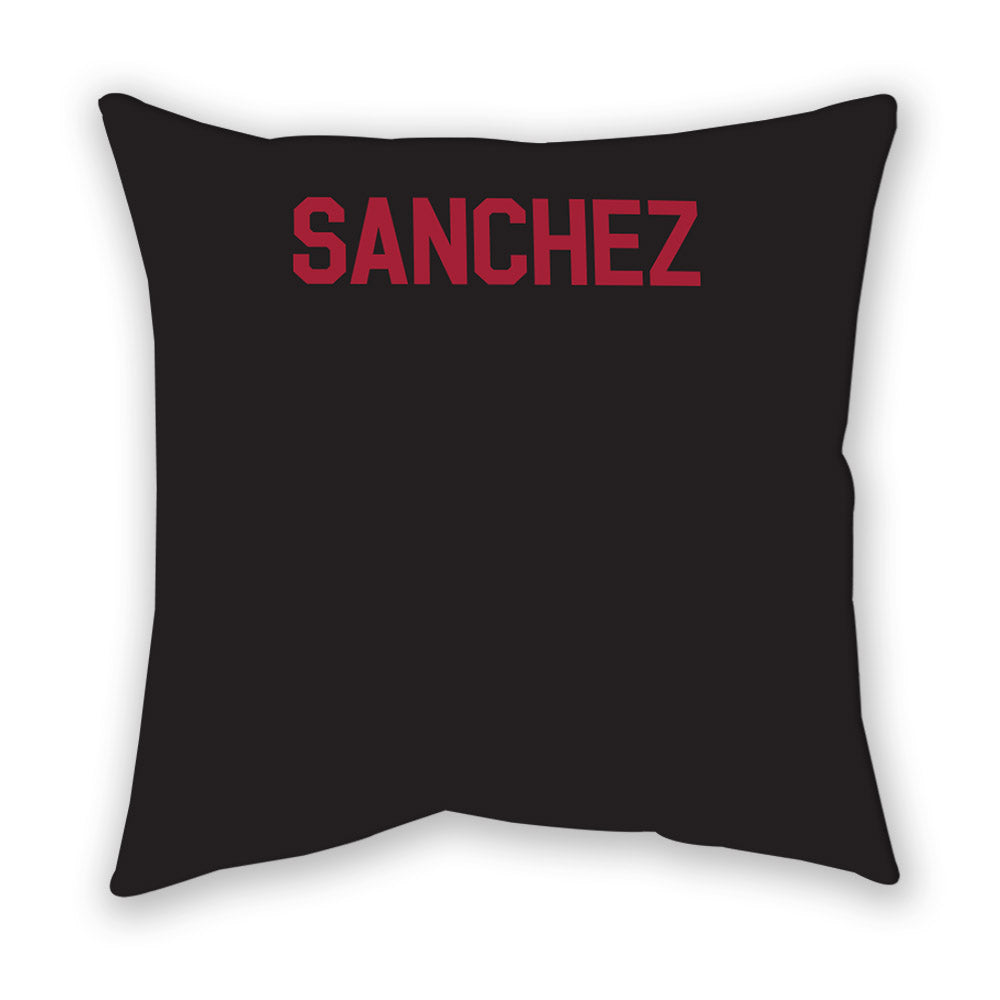 Arkansas - NCAA Women's Swimming & Diving : Bryze Sanchez - Pillow-1