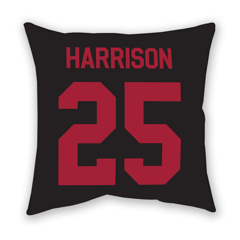 Arkansas - NCAA Softball : Cameryn Harrison - Pillow-1