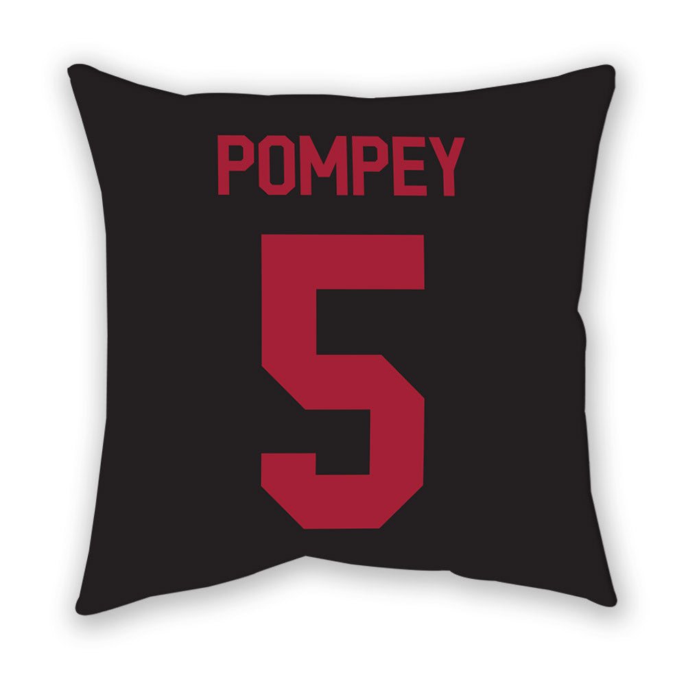 Arkansas - NCAA Baseball : TJ Pompey - Pillow-1