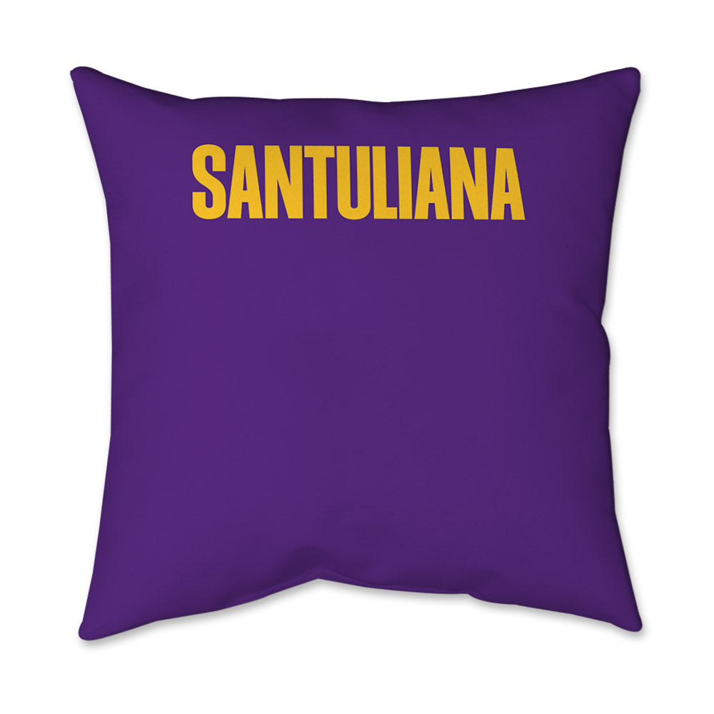 LSU - NCAA Women's Swimming & Diving : Nicole Santuliana - Graphic Pillow 16x16-1