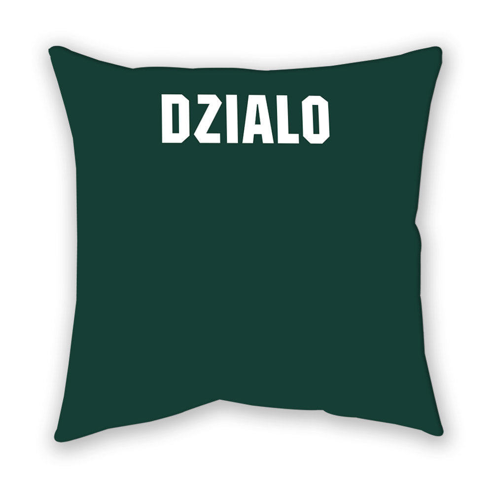 Michigan State - NCAA Women's Rowing : Anya Dzialo - Pillow-1