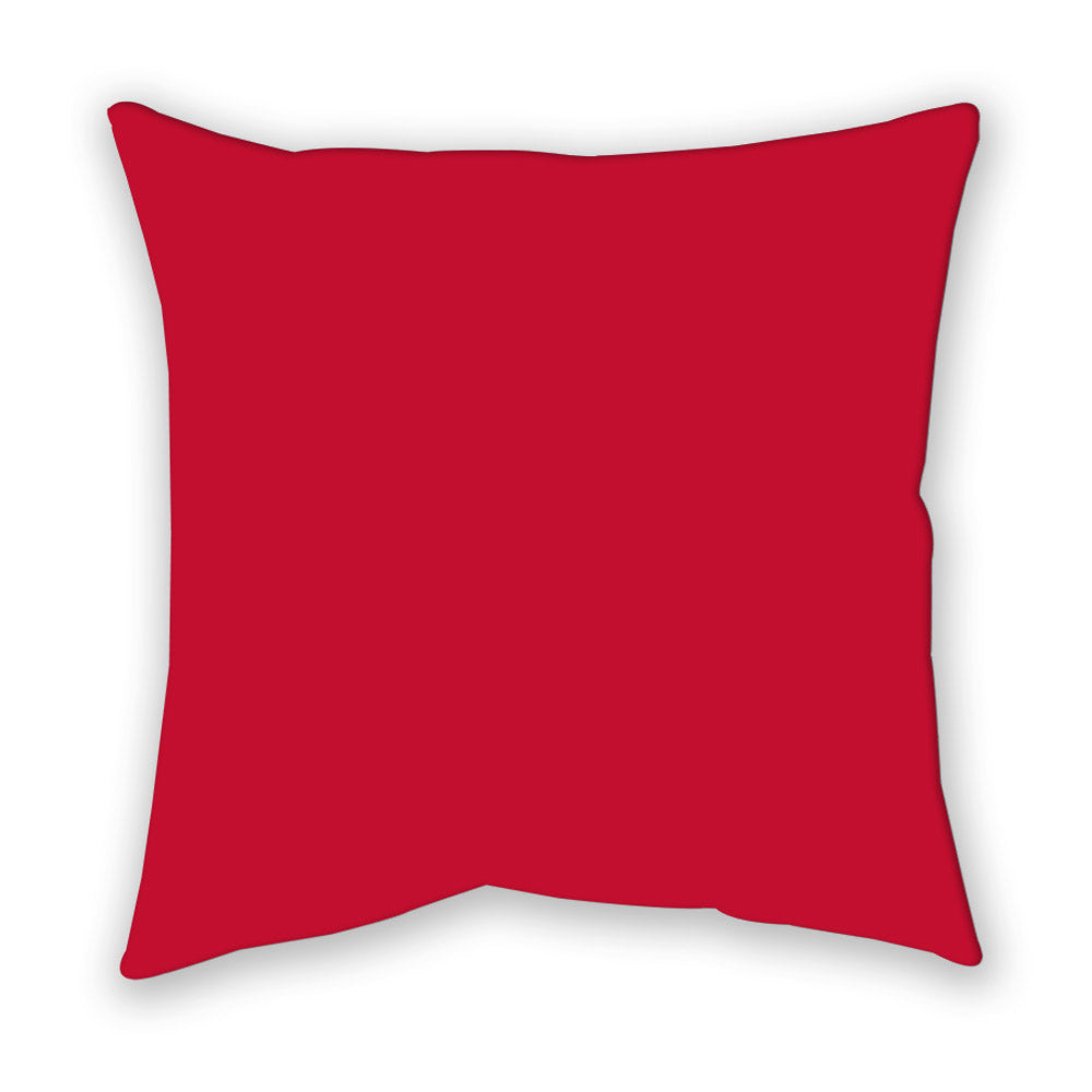 Georgia - NCAA Softball : - Pillow-1