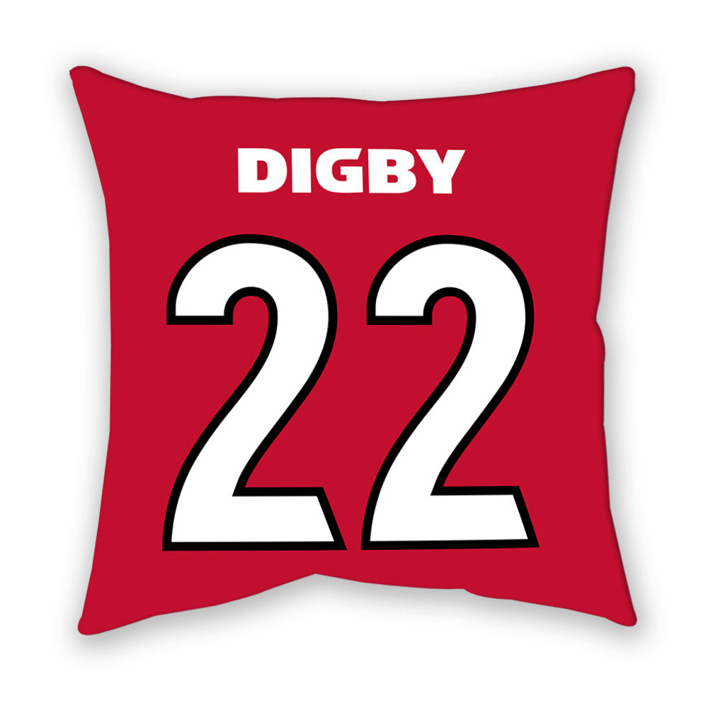 Georgia - NCAA Softball : Emily Digby - Pillow-1