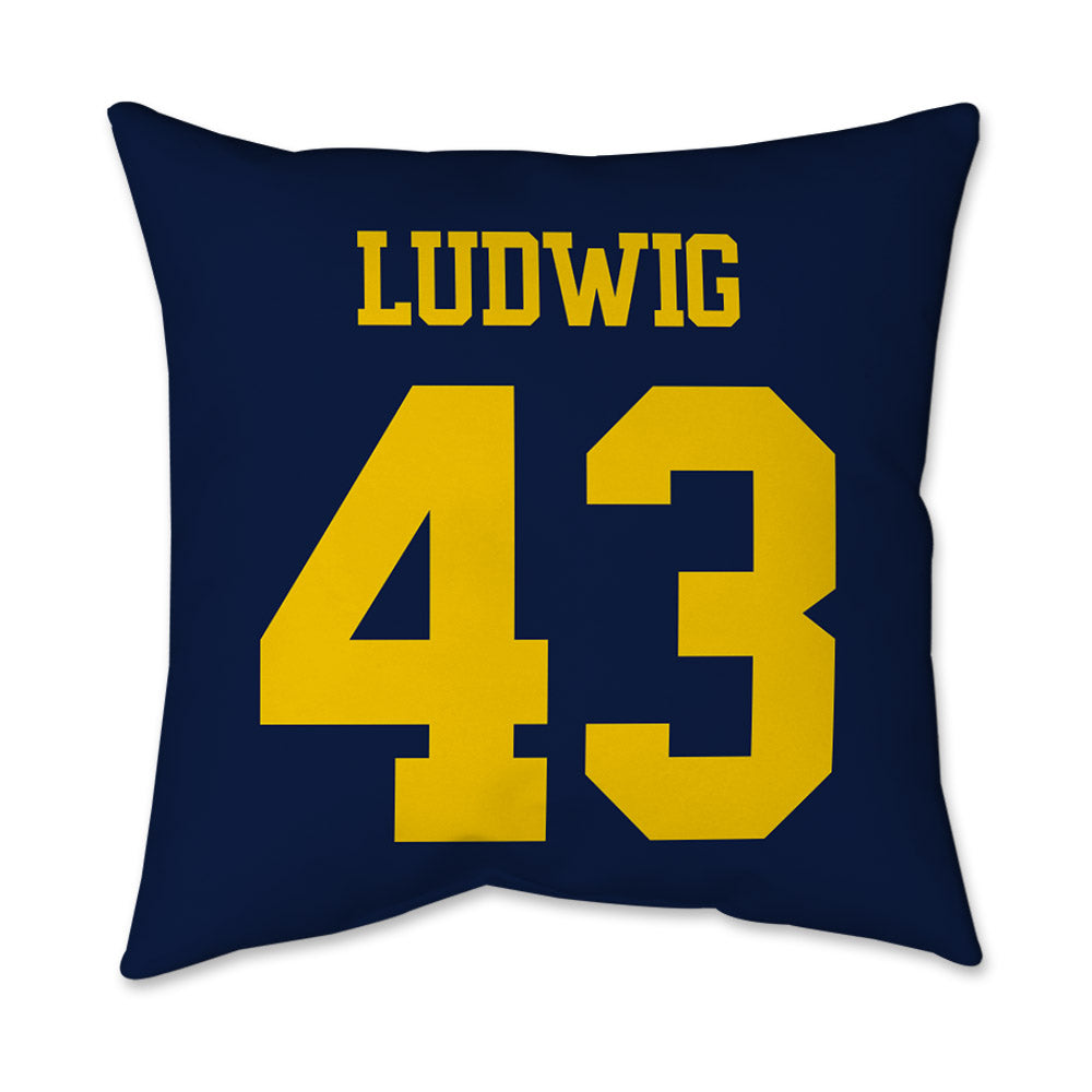 Michigan - NCAA Football : Zach Ludwig - Graphic Pillow 16x16-1