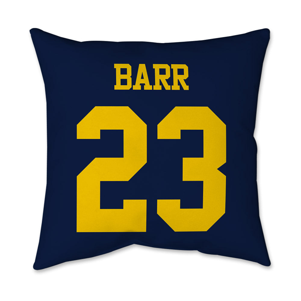 Michigan - NCAA Baseball : Preston Barr - Graphic Pillow 16x16-1
