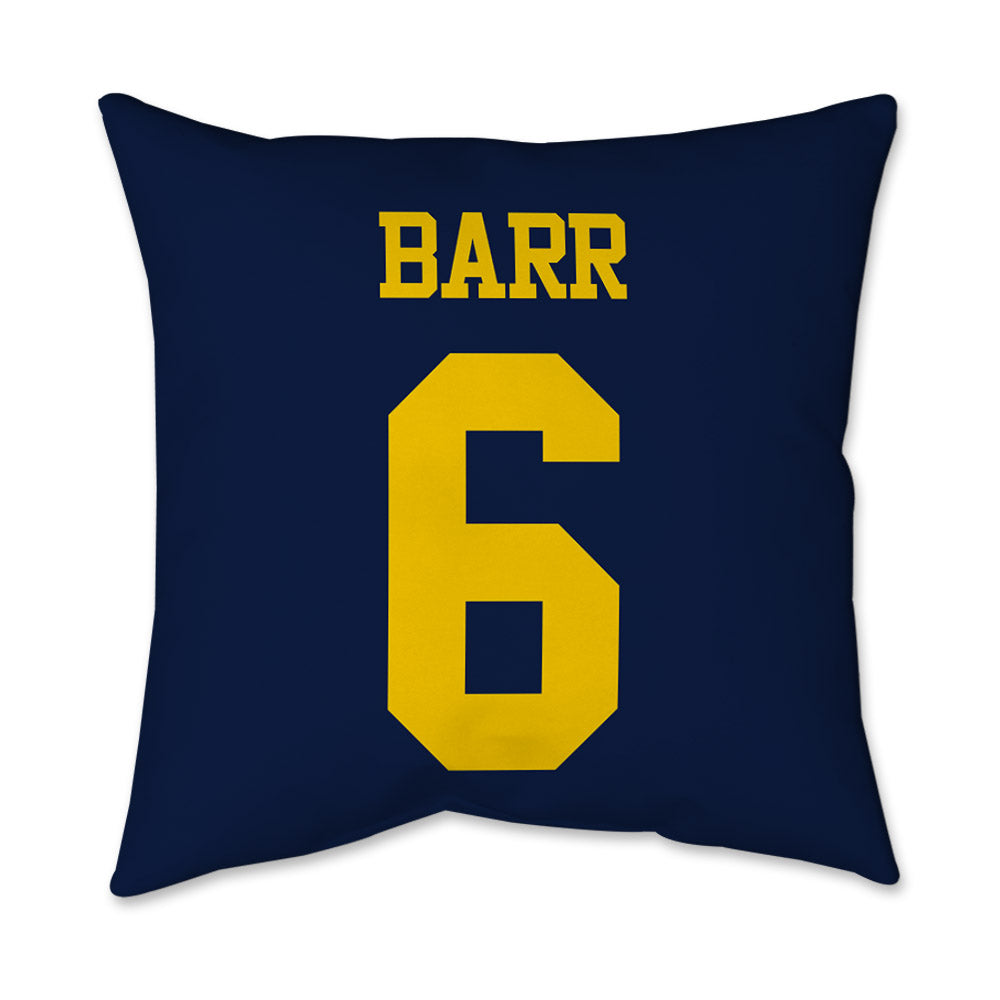 Michigan - NCAA Baseball : Kurt Barr - Graphic Pillow 16x16-1