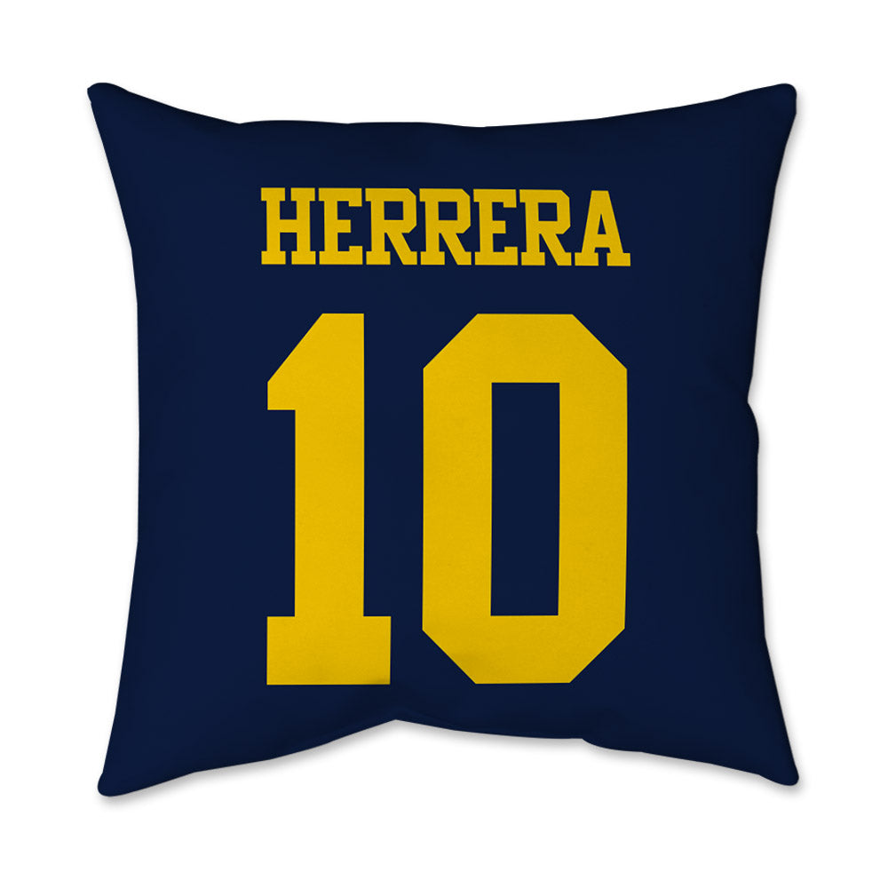 Michigan - NCAA Men's Soccer : Duilio Herrera - Graphic Pillow 16x16-1