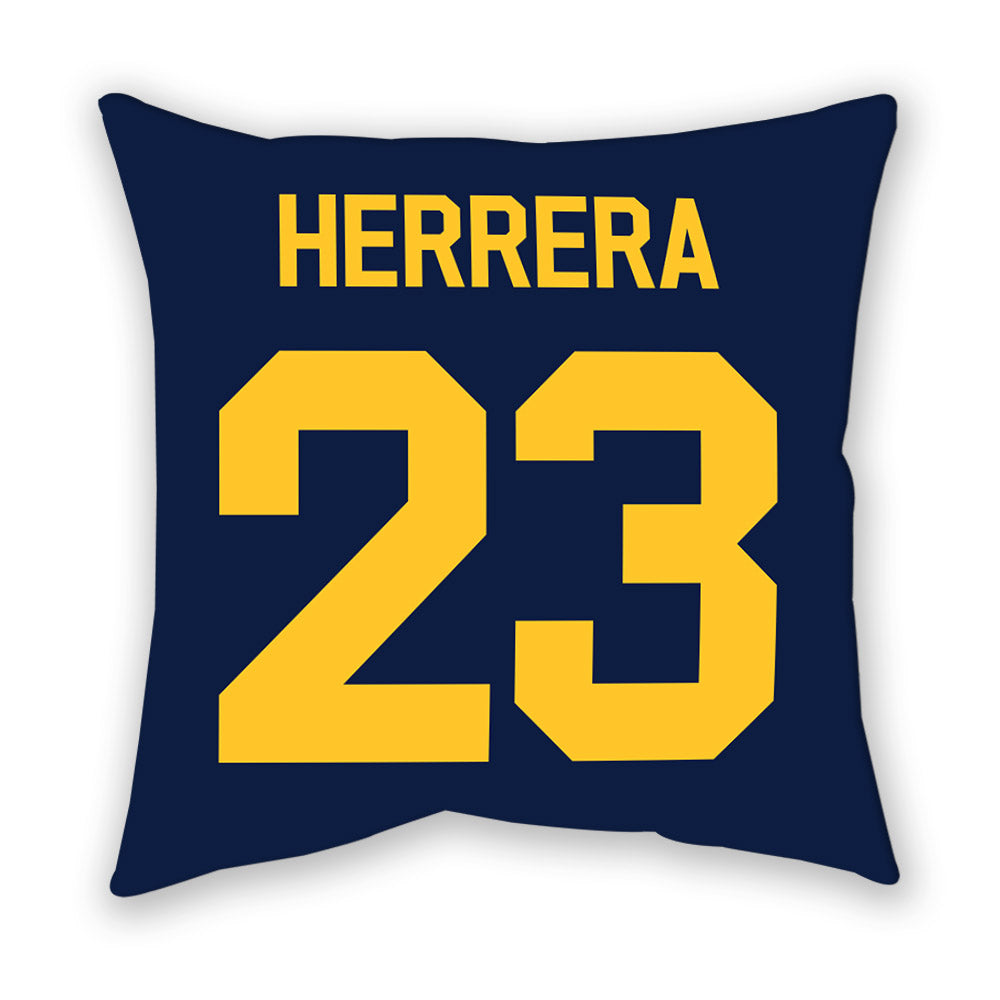 UC Berkeley - NCAA Softball : Alyssa Herrera - Graphic Pillow-1