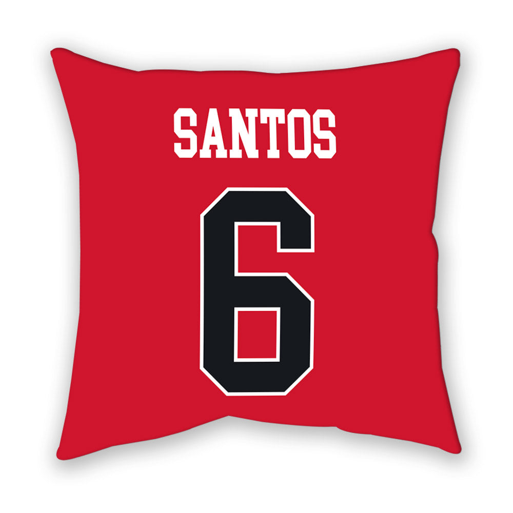 Rutgers - NCAA Baseball : Pablo Santos - Pillow-1