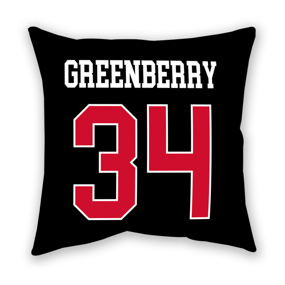 Houston - NCAA Women's Volleyball : tara greenberry - Pillow-1