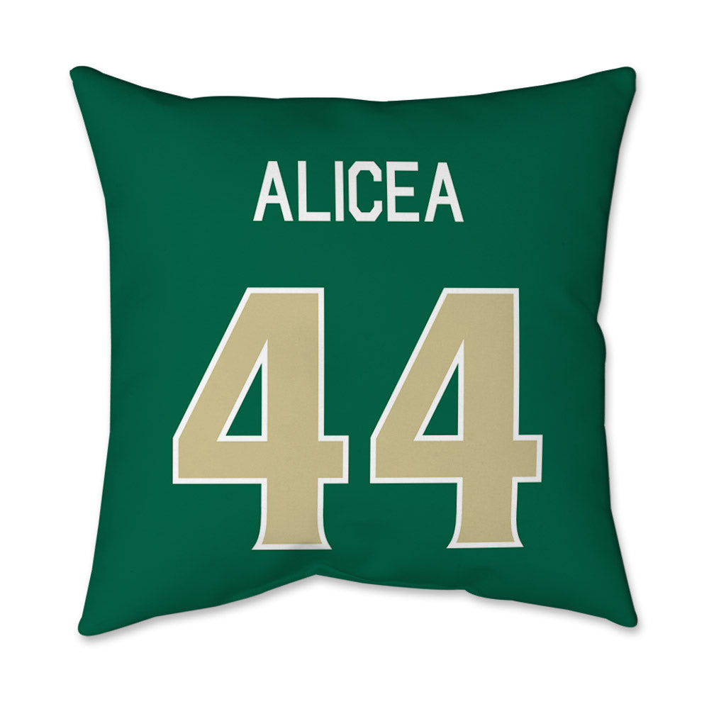 USF - NCAA Baseball : Edwin Alicea - Graphic Pillow 16x16-1
