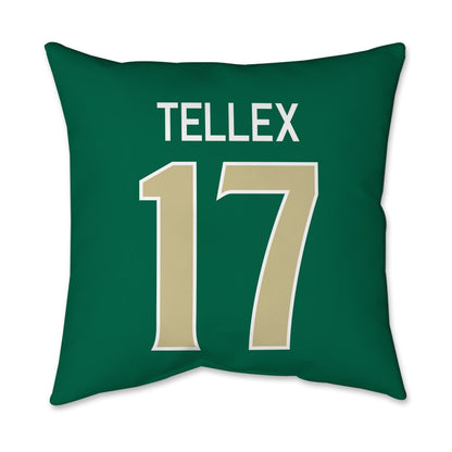 USF - NCAA Women's Soccer : Delaney Tellex - Graphic Pillow 16x16-1