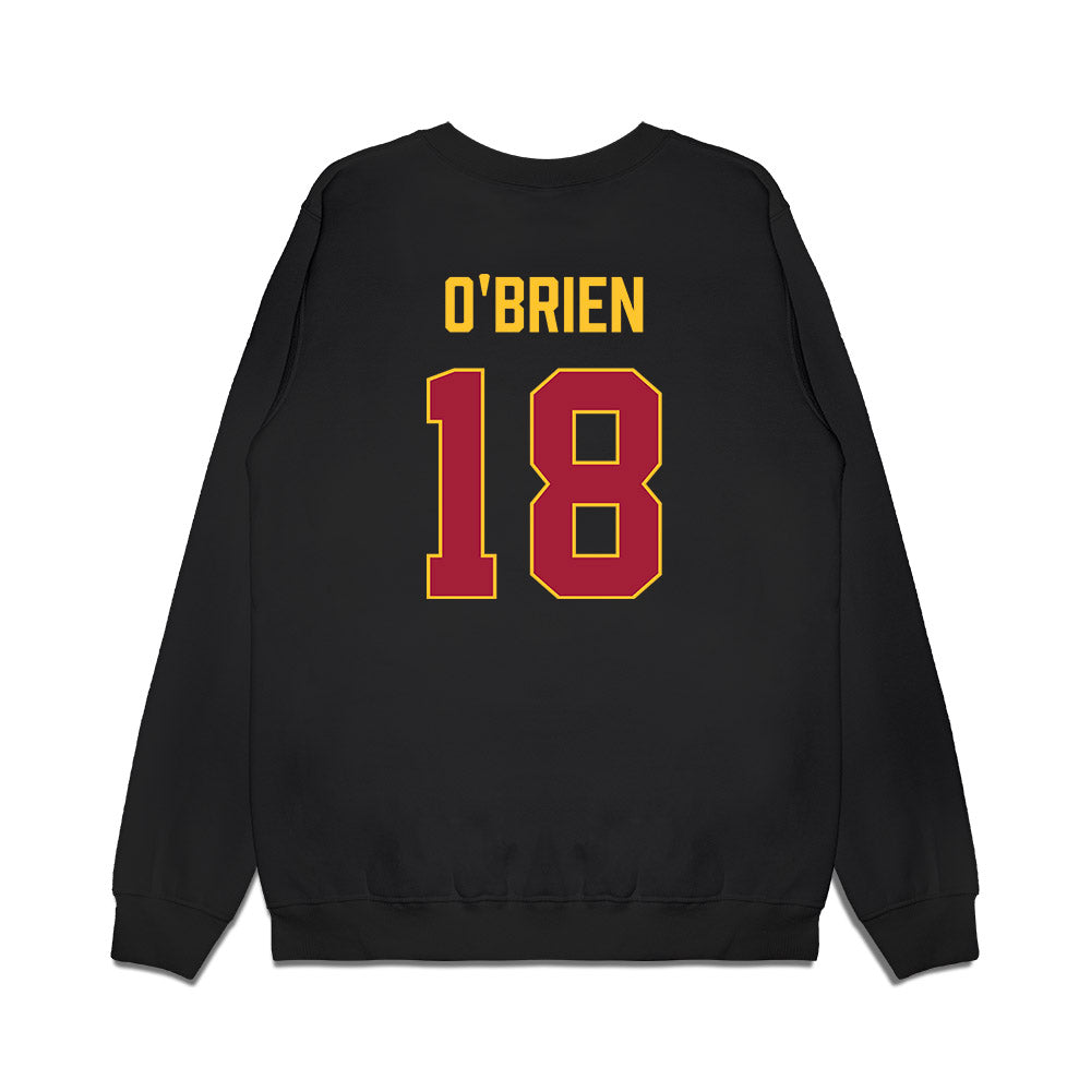 USC - NCAA Men's Basketball : Patrick O'Brien - Vintage Basketball Premium Crewneck Sweatshirt-1