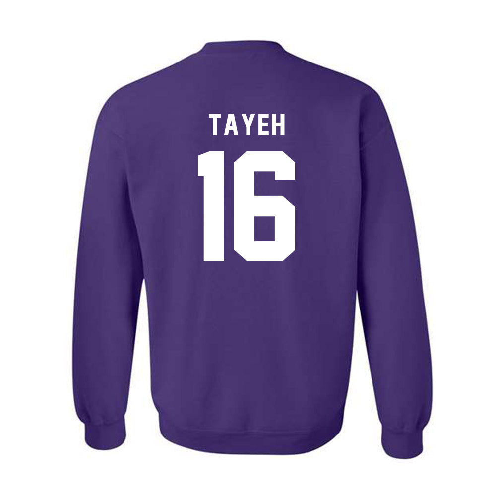 CCNY - NCAA Men's Volleyball : Mahmoud Tayeh - Classic Shersey Crewneck Sweatshirt-1