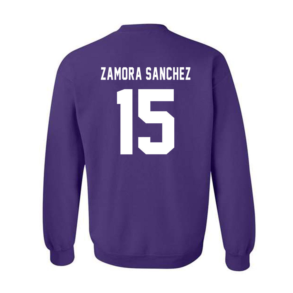 CCNY - NCAA Women's Volleyball : Ivanna Zamora Sanchez - Classic Shersey Crewneck Sweatshirt-1