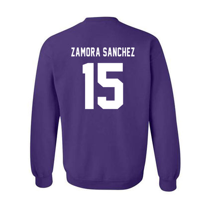 CCNY - NCAA Women's Volleyball : Ivanna Zamora Sanchez - Classic Shersey Crewneck Sweatshirt-1