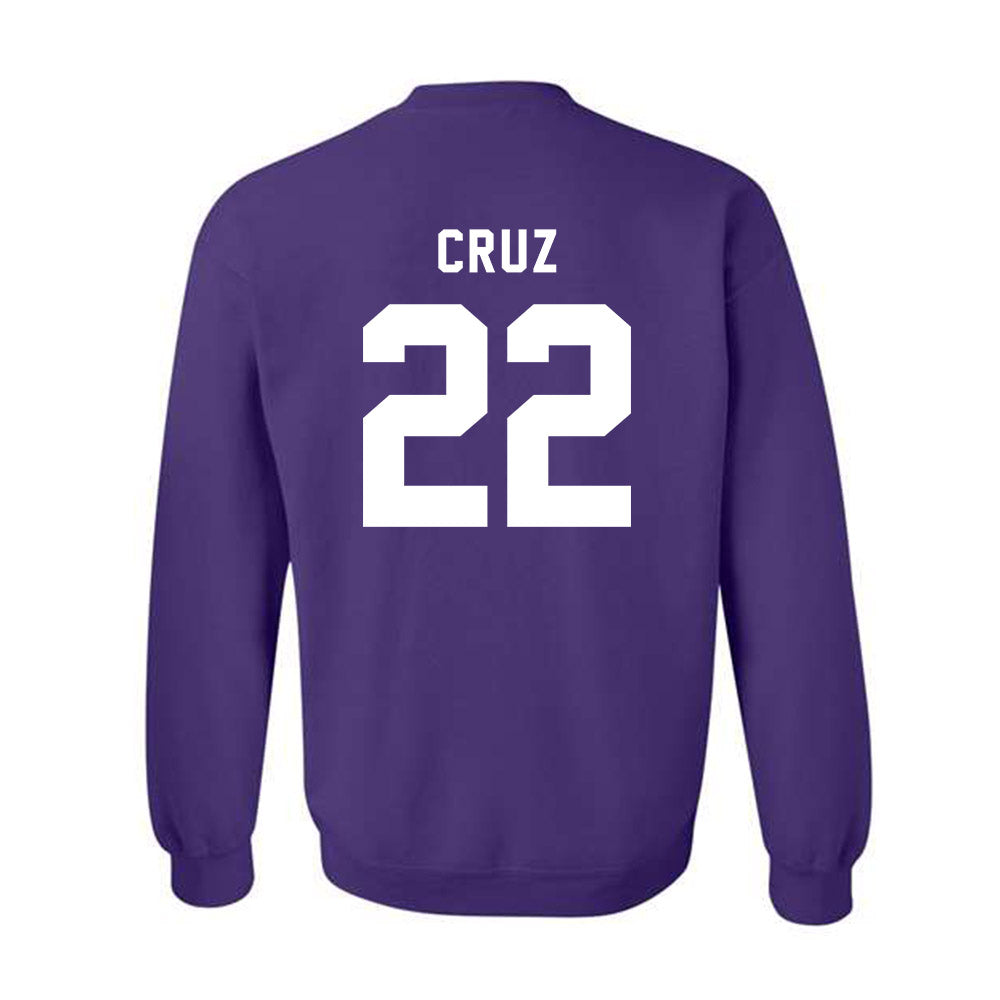 CCNY - NCAA Men's Basketball : Fabian Cruz - Classic Shersey Crewneck Sweatshirt-1