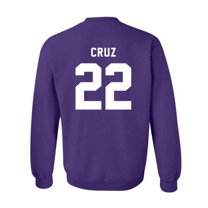 CCNY - NCAA Men's Basketball : Fabian Cruz - Classic Shersey Crewneck Sweatshirt-1