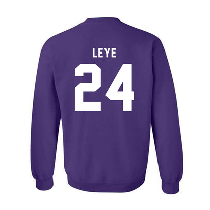 CCNY - NCAA Men's Basketball : David Leye - Classic Shersey Crewneck Sweatshirt-1