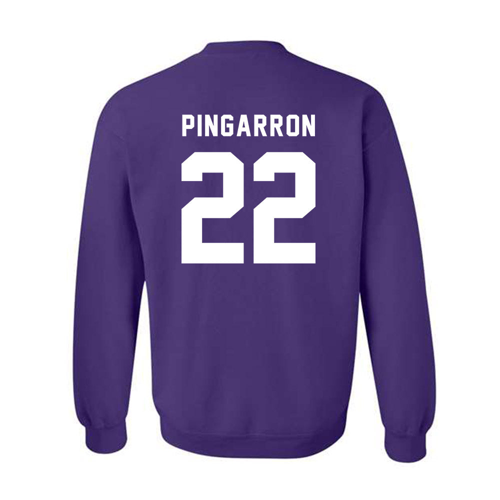 CCNY - NCAA Men's Soccer : Milton Pingarron - Classic Shersey Crewneck Sweatshirt-1