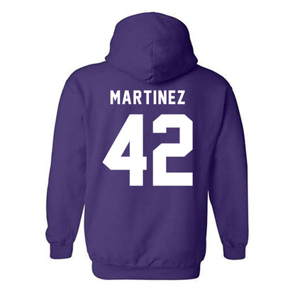 CCNY - NCAA Baseball : Manuel Martinez - Classic Shersey Hooded Sweatshirt-1