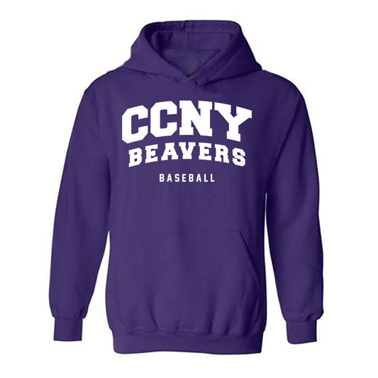 CCNY - NCAA Baseball : Erik Rank - Classic Shersey Hooded Sweatshirt-0