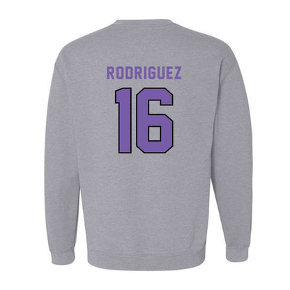 CCNY - NCAA Men's Soccer : Fausto Rodriguez - Classic Shersey Crewneck Sweatshirt-1