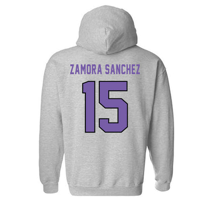 CCNY - NCAA Women's Volleyball : Ivanna Zamora Sanchez - Classic Shersey Hooded Sweatshirt-1