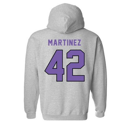 CCNY - NCAA Baseball : Manuel Martinez - Classic Shersey Hooded Sweatshirt-1