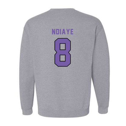 CCNY - NCAA Men's Soccer : Aliou Ndiaye - Classic Shersey Crewneck Sweatshirt-1