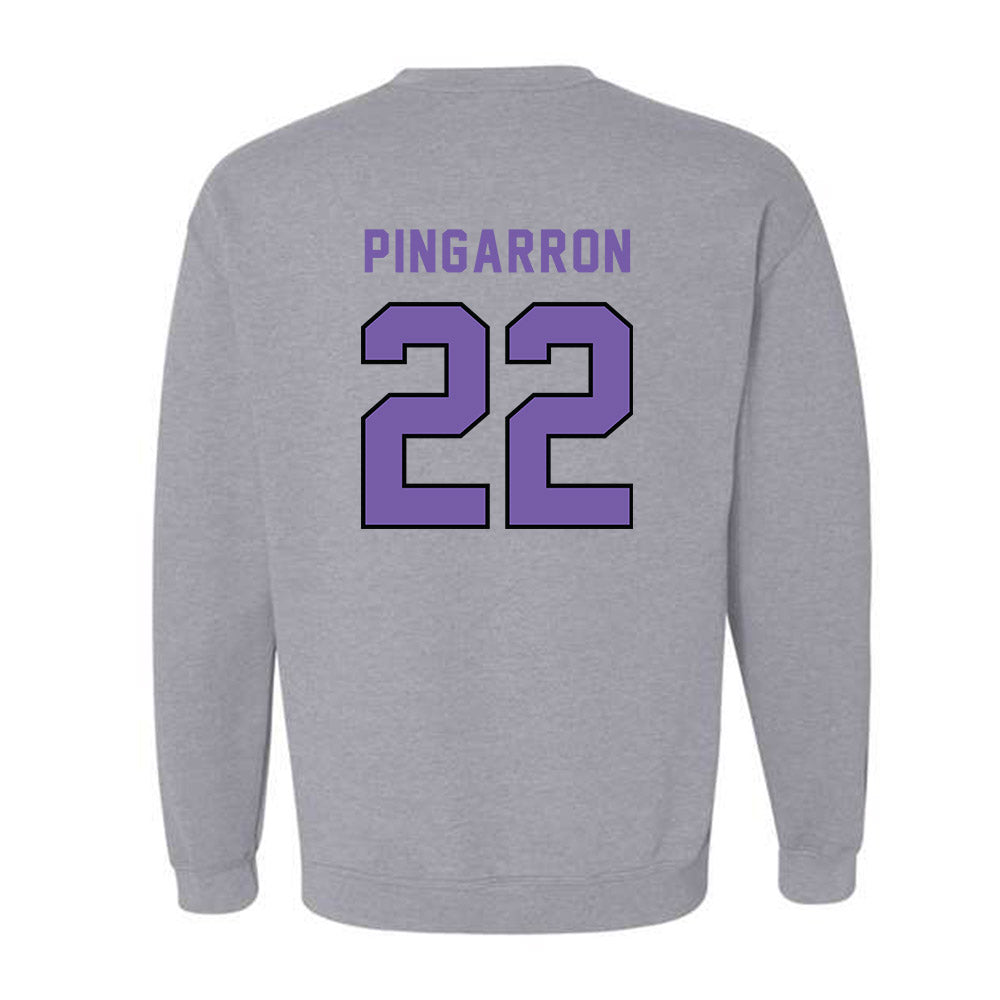CCNY - NCAA Men's Soccer : Milton Pingarron - Classic Shersey Crewneck Sweatshirt-1