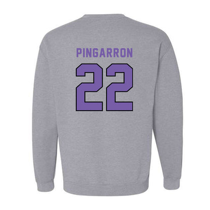 CCNY - NCAA Men's Soccer : Milton Pingarron - Classic Shersey Crewneck Sweatshirt-1