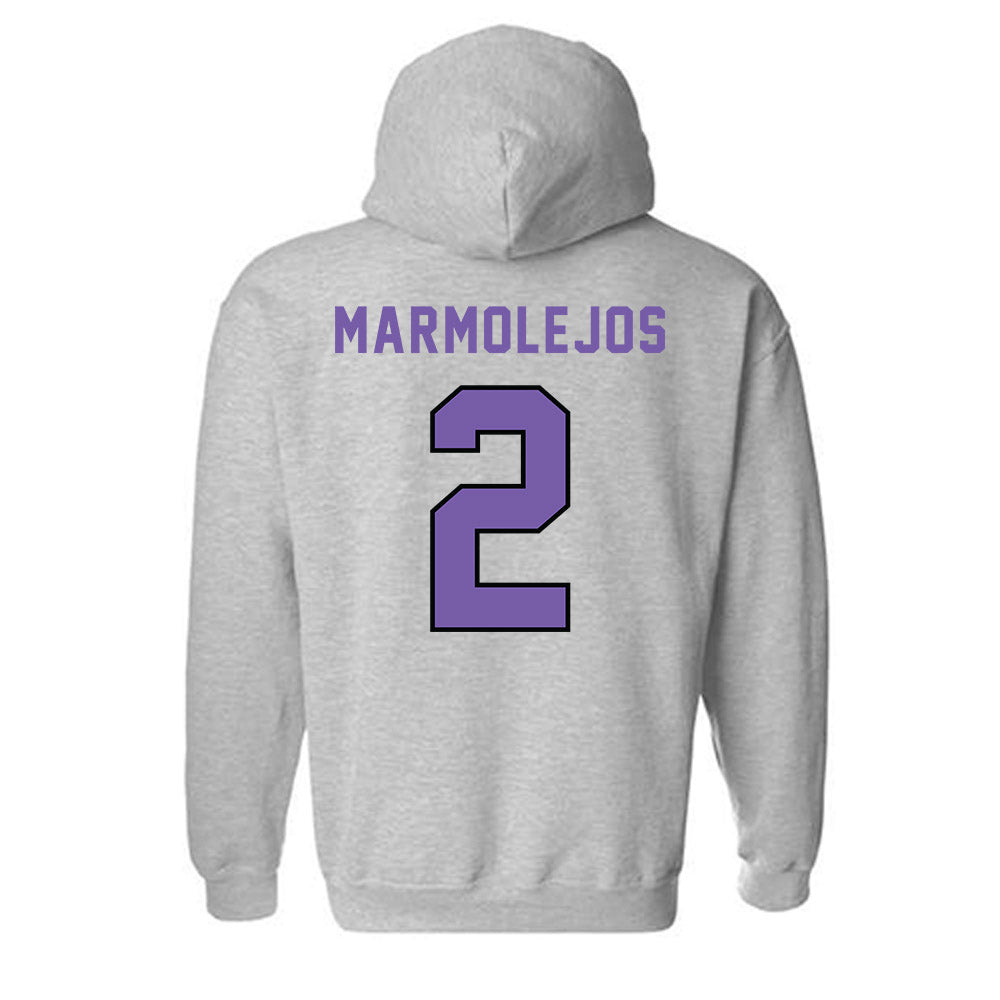 CCNY - NCAA Baseball : Eric Marmolejos - Classic Shersey Hooded Sweatshirt-1