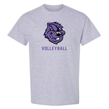 CCNY - NCAA Men's Volleyball : Bosco Dong - Classic Shersey T-Shirt-0