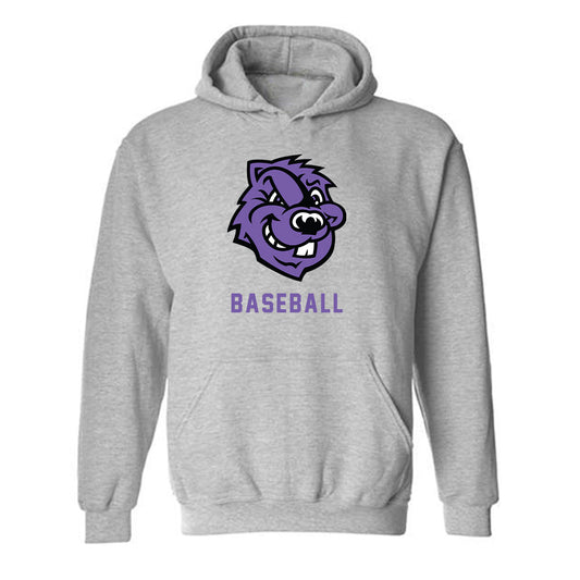 CCNY - NCAA Baseball : Shawn Ayala - Classic Shersey Hooded Sweatshirt-0