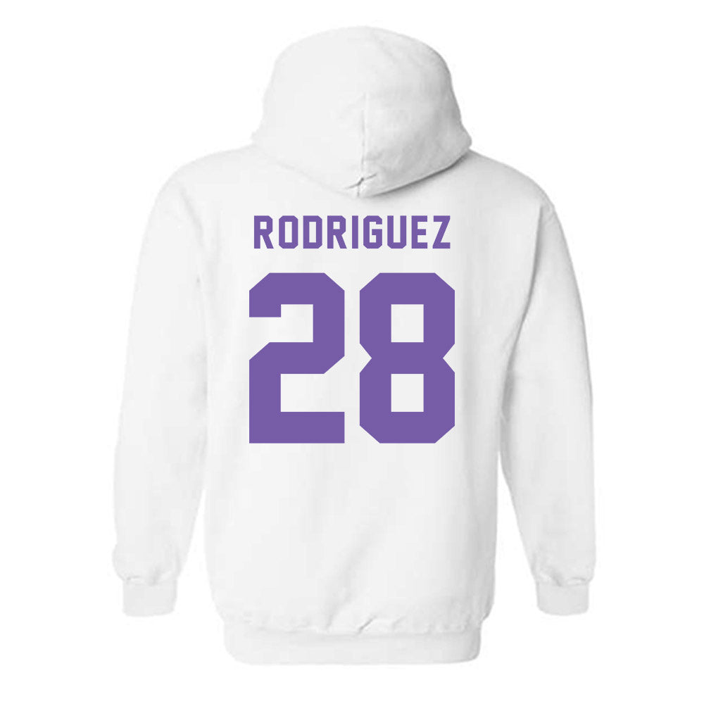 CCNY - NCAA Baseball : Alex Rodriguez - Classic Shersey Hooded Sweatshirt-1