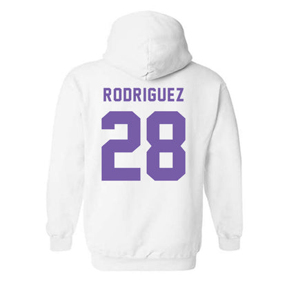 CCNY - NCAA Baseball : Alex Rodriguez - Classic Shersey Hooded Sweatshirt-1