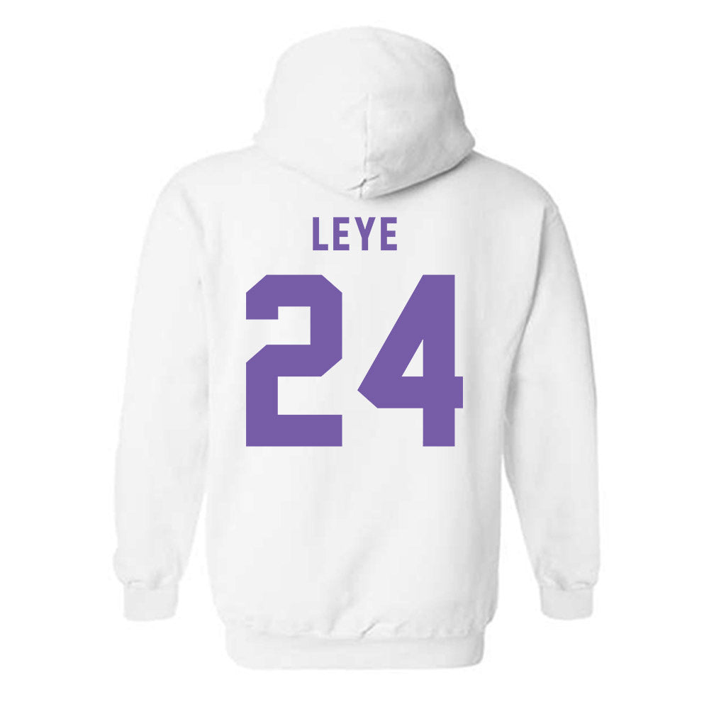 CCNY - NCAA Men's Basketball : David Leye - Classic Shersey Hooded Sweatshirt-1