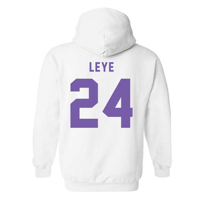 CCNY - NCAA Men's Basketball : David Leye - Classic Shersey Hooded Sweatshirt-1