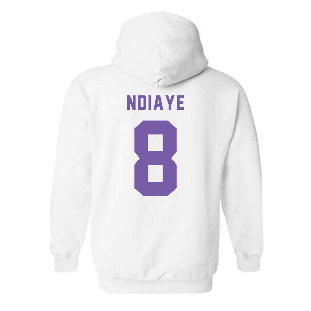CCNY - NCAA Men's Soccer : Aliou Ndiaye - Classic Shersey Hooded Sweatshirt-1