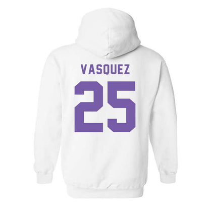 CCNY - NCAA Baseball : Noel Vasquez - Classic Shersey Hooded Sweatshirt-1