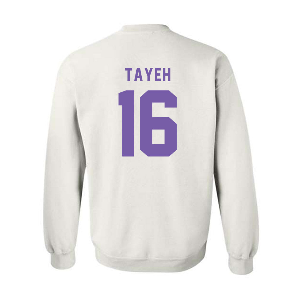 CCNY - NCAA Men's Volleyball : Mahmoud Tayeh - Classic Shersey Crewneck Sweatshirt-1